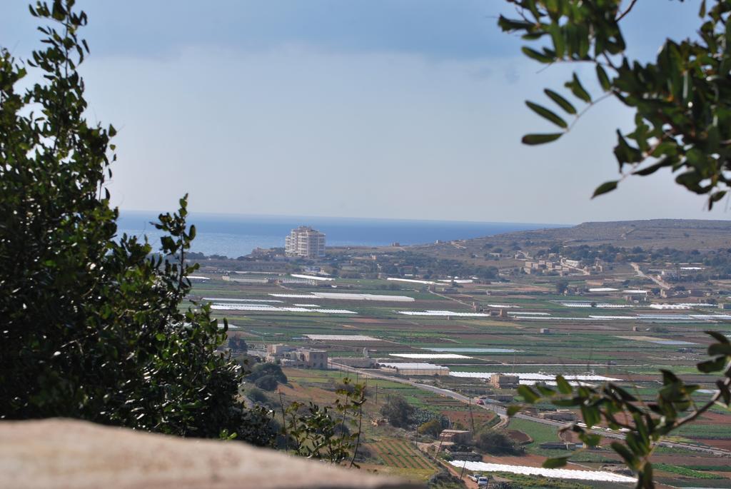 Secco's Seaview
