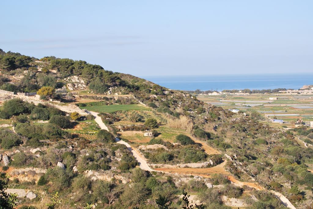 Secco's Seaview